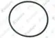 VAILLANT-O-Ring-Brennerflansch-VKO-246-u-w-Vaillant-Nr-0020021173 gallery number 1